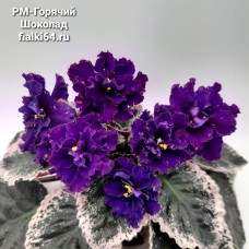 РМ-Горячий Шоколад